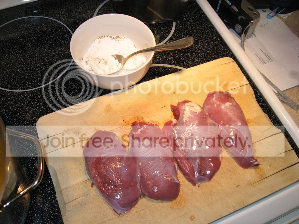 duck_stew_oct_2010010.jpg