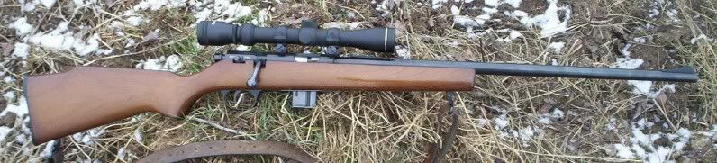 Marlin4.jpg