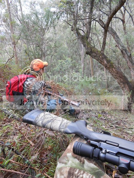 DSCN0253dylchillin.jpg~original