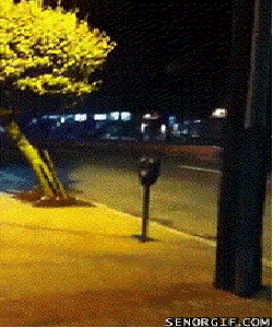 12.14_Funny_Gifs_9.gif