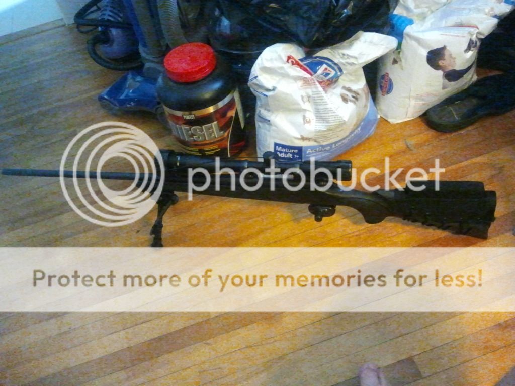 2011-09-29131609.jpg