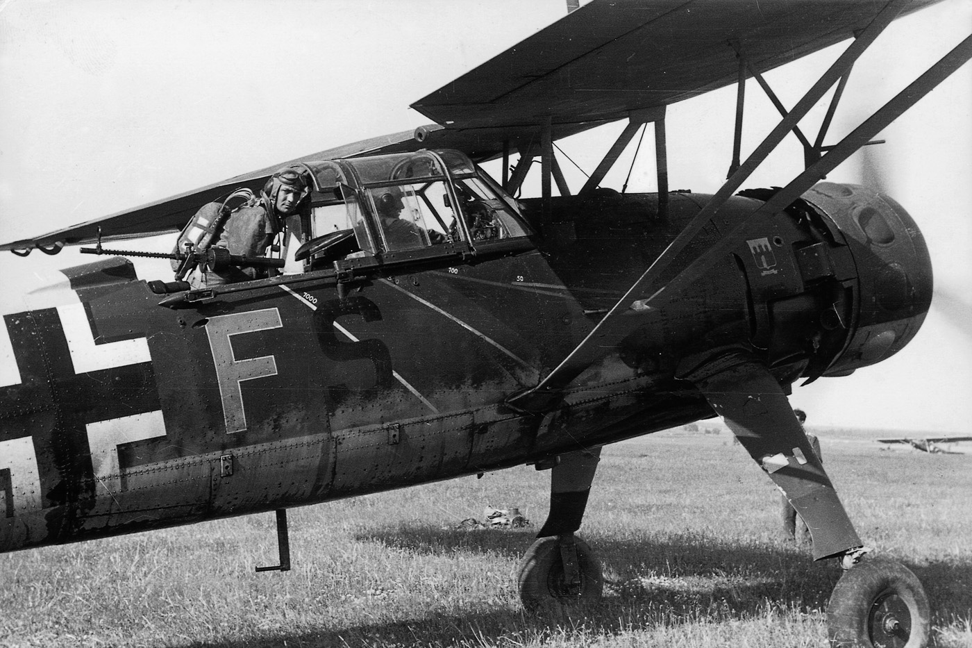 Hs_126.jpg