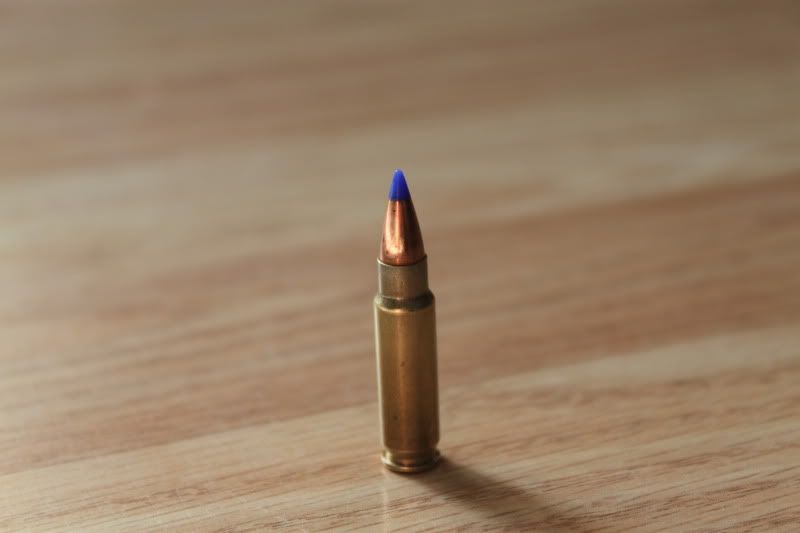 bf35002e.jpg