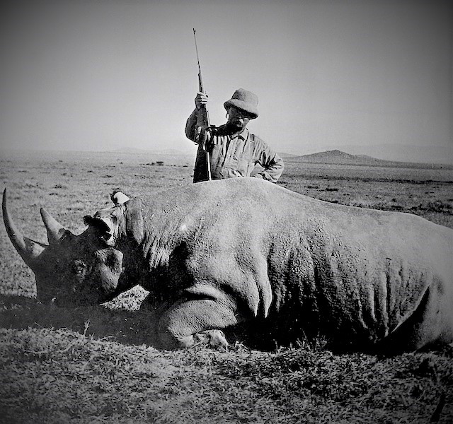405-winchester-Rhinoceros-2.jpg