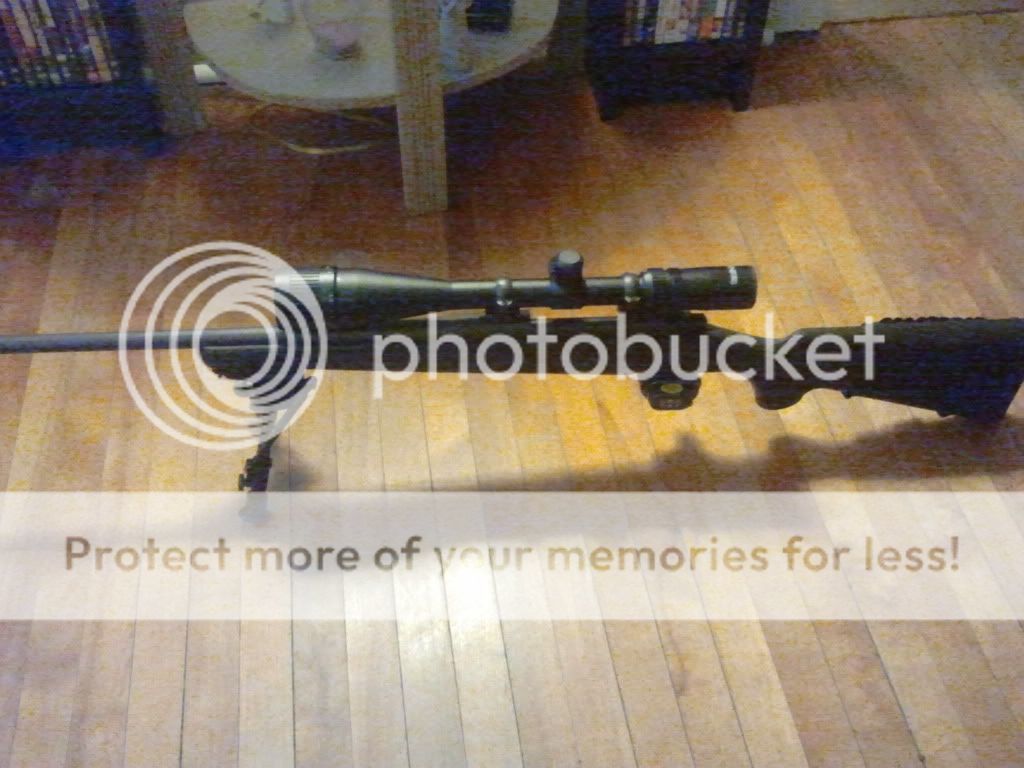 2011-06-06215914.jpg