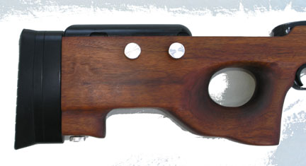 leopardrear2.jpg