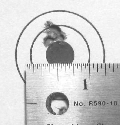 bIMG_5260.jpg