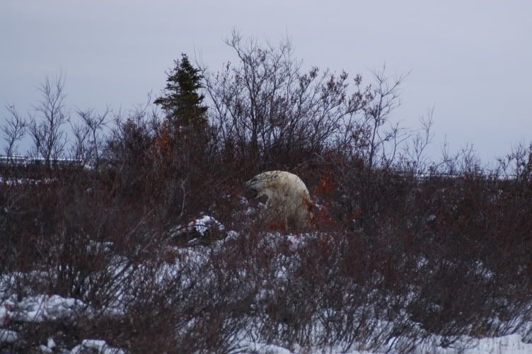 DSC_0073.jpg