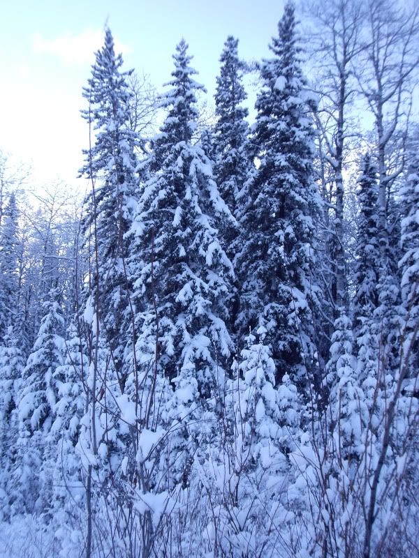 20081011_131133.jpg