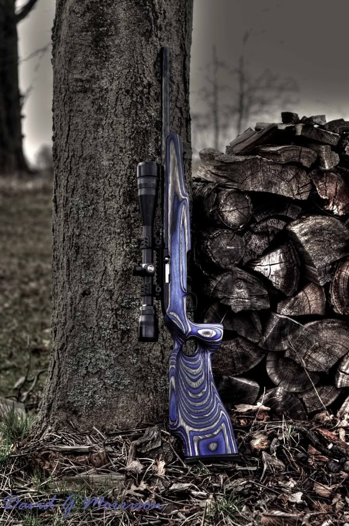 ruger4.jpg