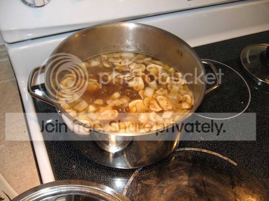 duck_stew_oct_2010020.jpg