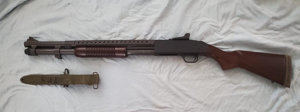 V41CtZ3h.jpg