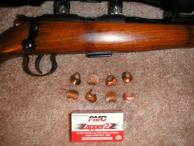 Brno201rimfire001.jpg