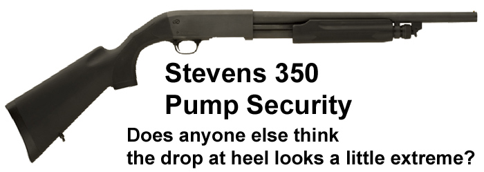 Stevens_350_Pump_Security.jpg
