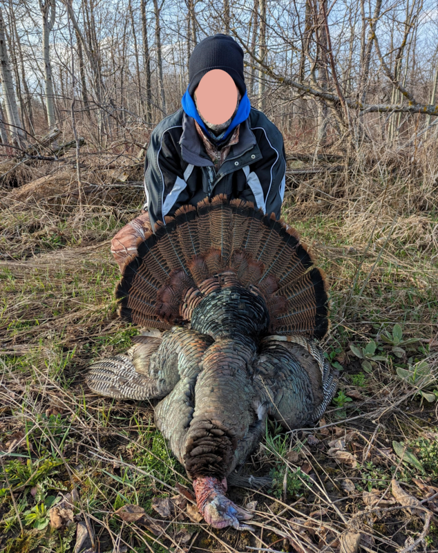 Turkey-2.png