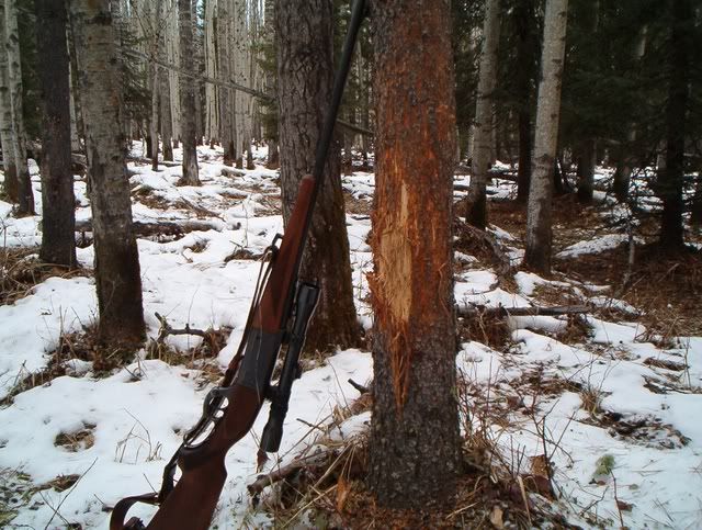 big_pine_rub.jpg