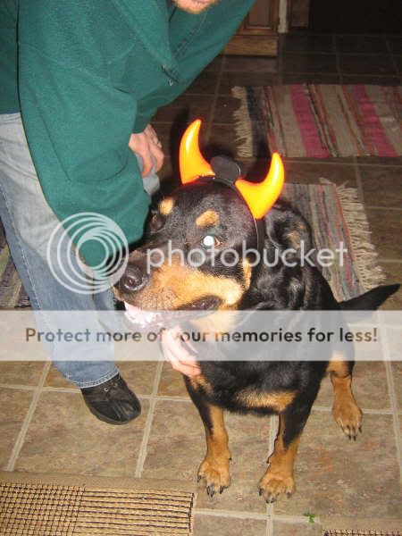 halloweenbash2007005.jpg