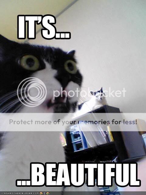 amazed.jpg