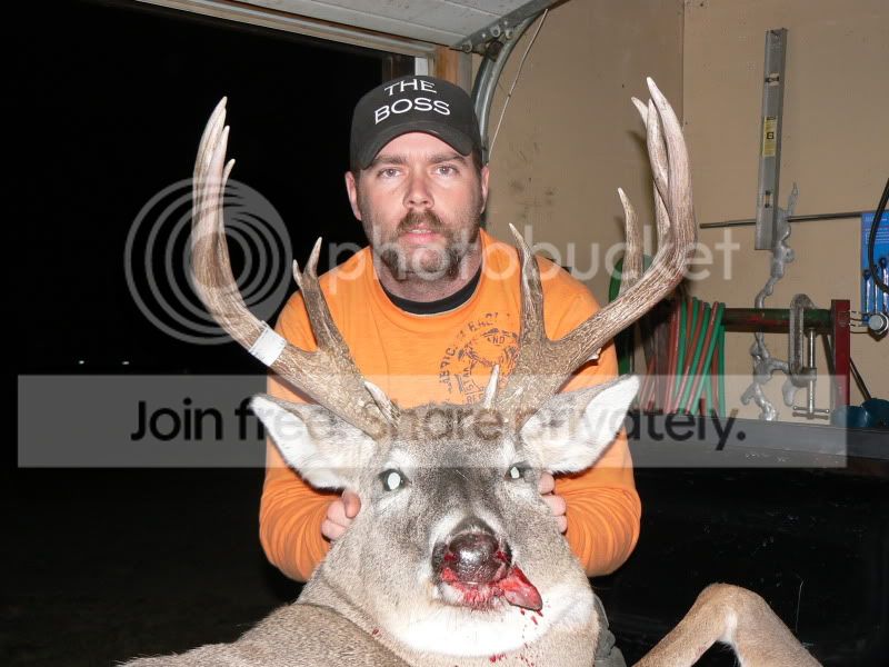BigBuck09007.jpg