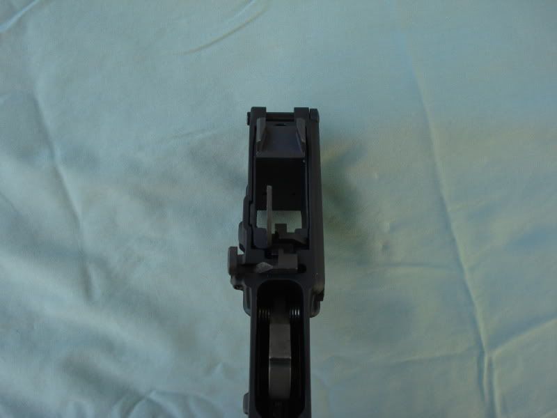 DSC01614.jpg