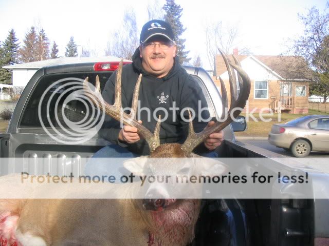 2005whitetail1.jpg