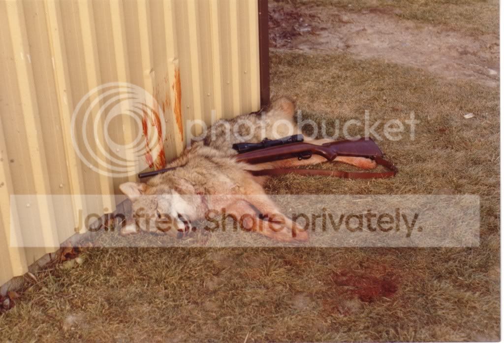 Untitled-Scanned-79.jpg