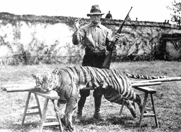 CaldwellTiger.jpg