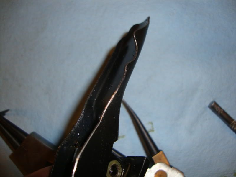 DSC07400.jpg