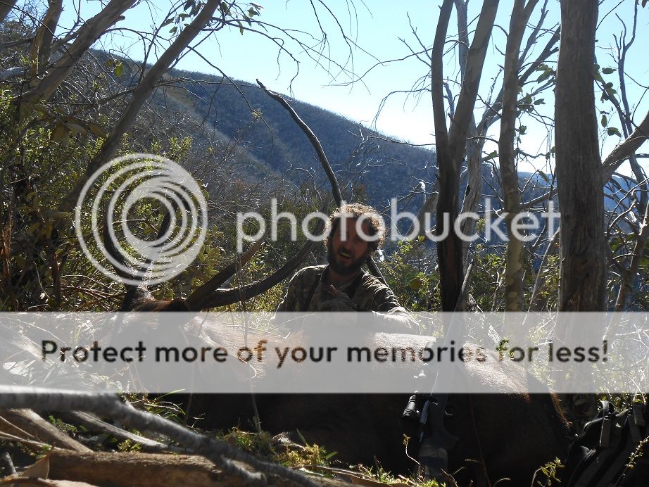 DSCN0808alpinestag.jpg~original