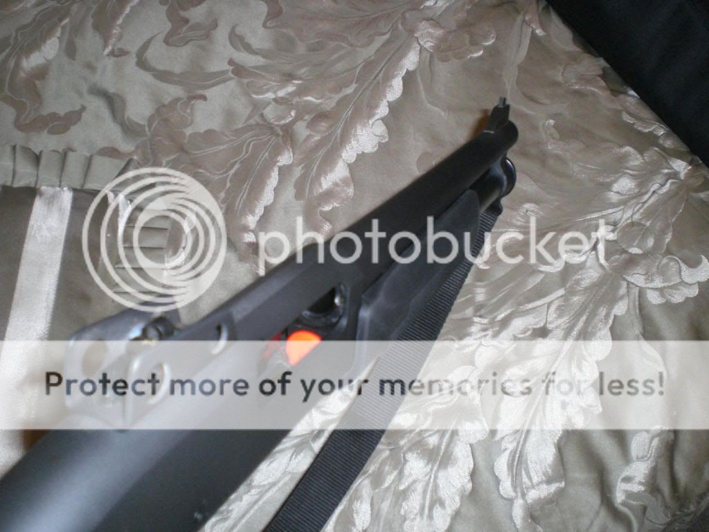 CIMG0457.jpg