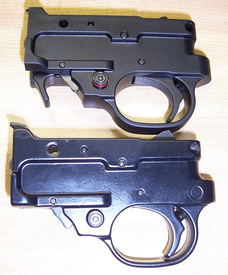 TGs10223.jpg