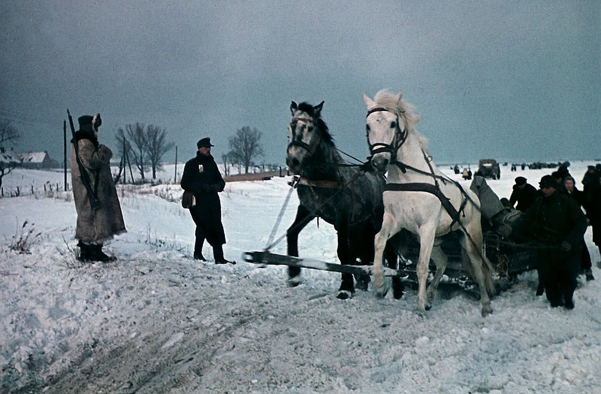 EprussiaHorsesFeb45.jpg