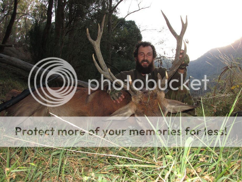 IMG_2170hilldog13red.jpg~original