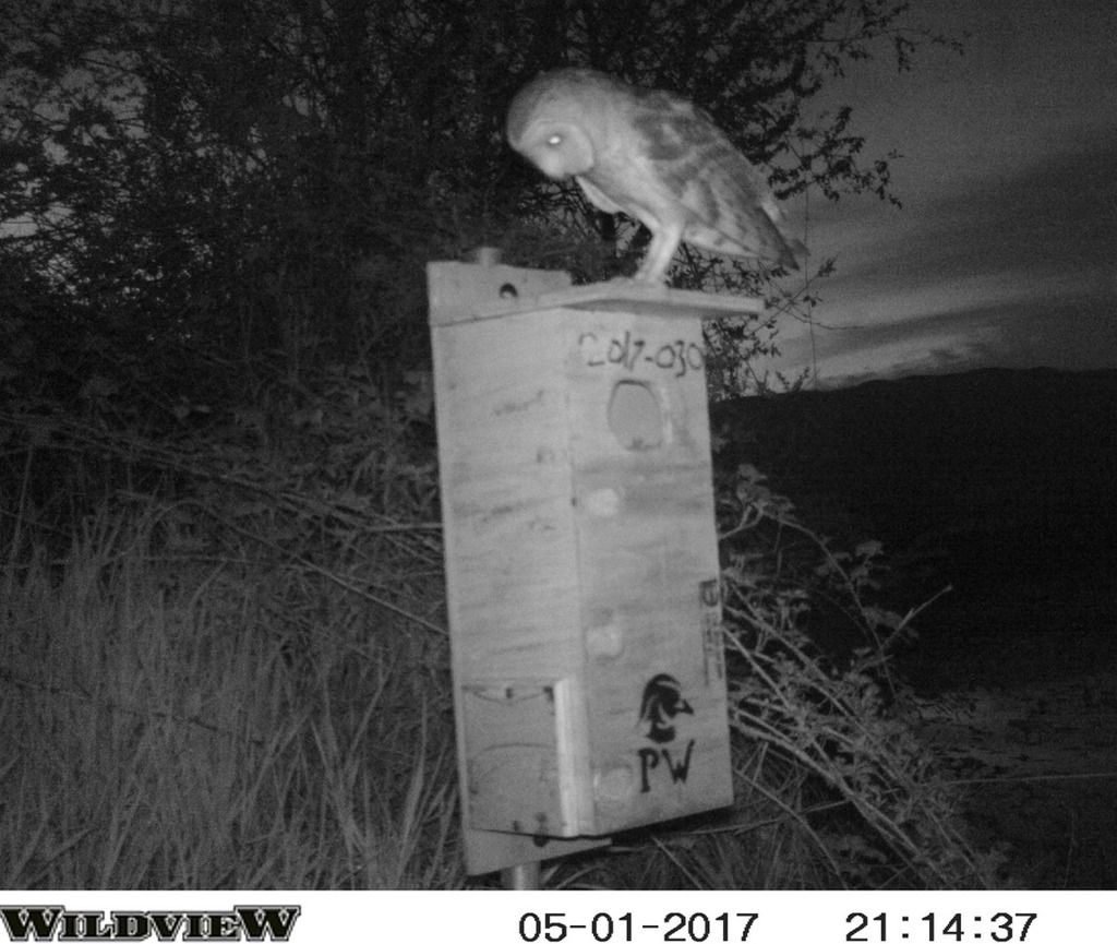 image_zps3vrnnrj7.jpeg~original