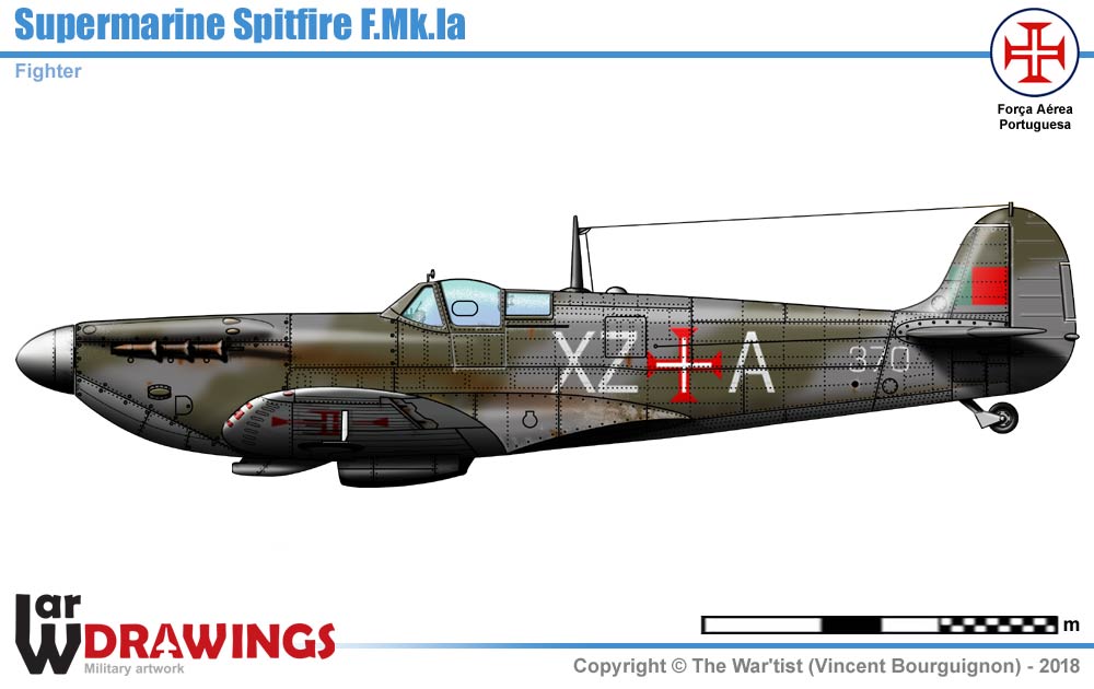 p1.jpg