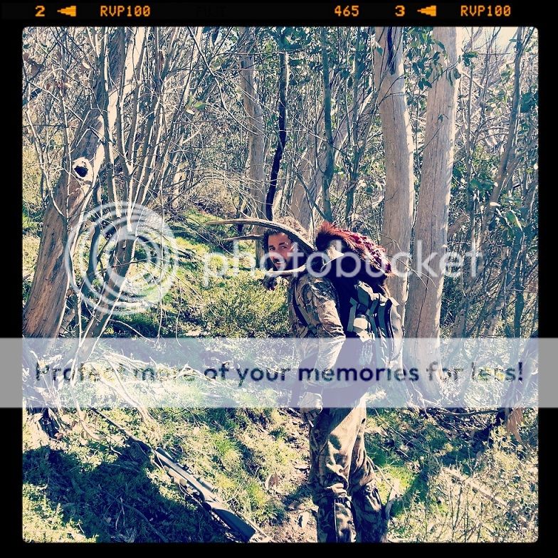 IMG_20131105_163401resize.jpg~original