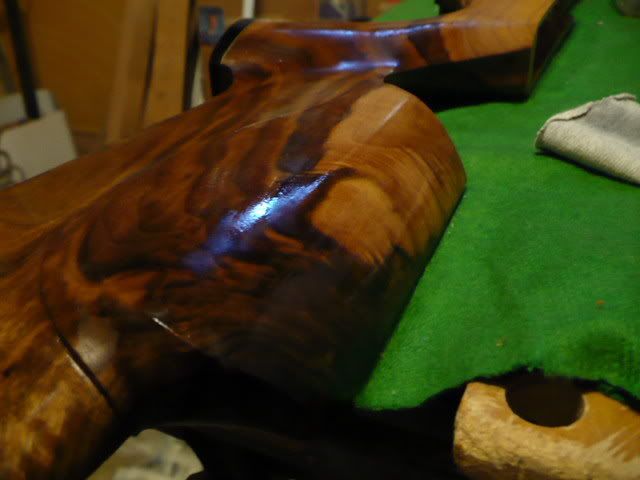 P1000264.jpg