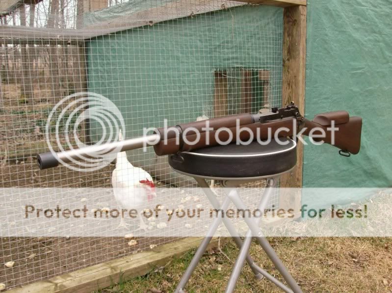 Picture076.jpg