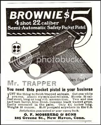 BROWNIEAD.jpg