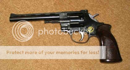 Arminias_1_1.jpg