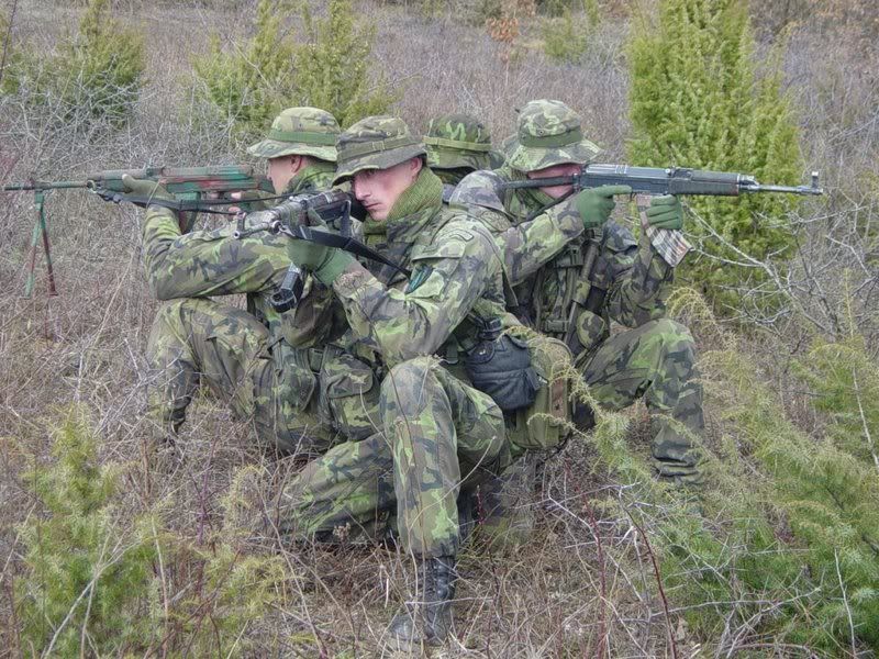 58af8.jpg