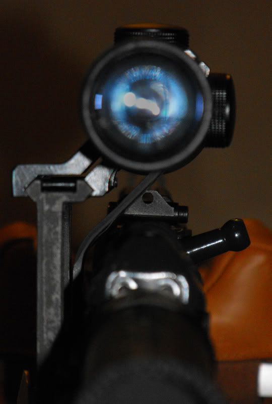 nm6.jpg