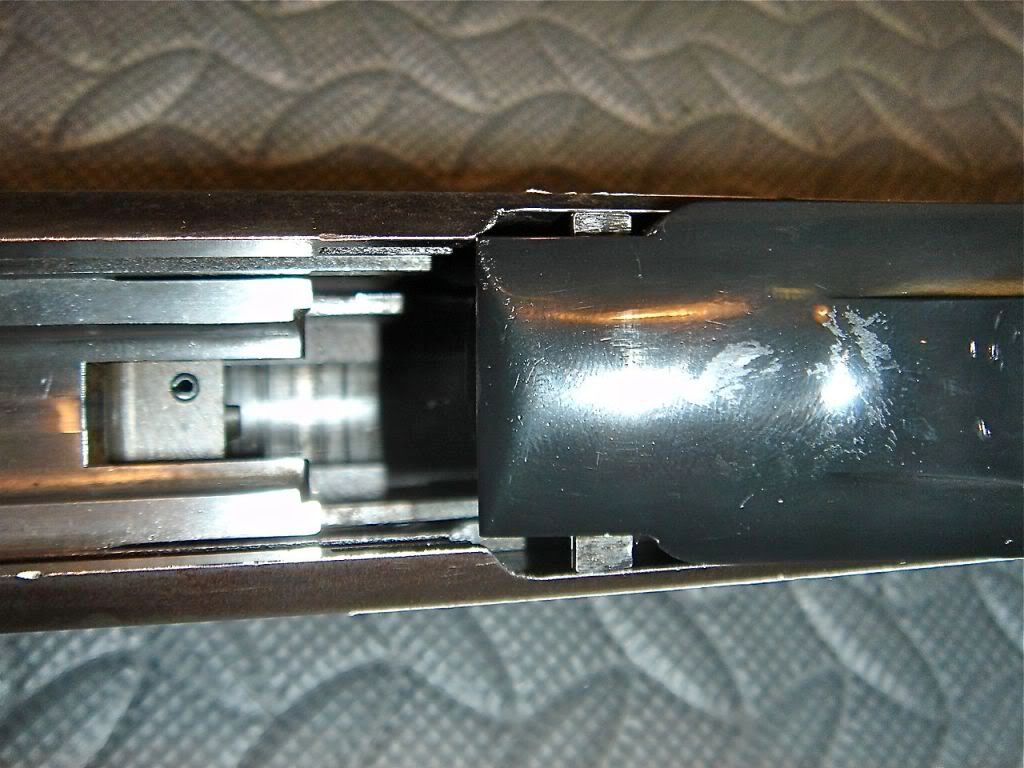 DSC08132.jpg