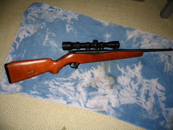 Mossberg22lr.jpg