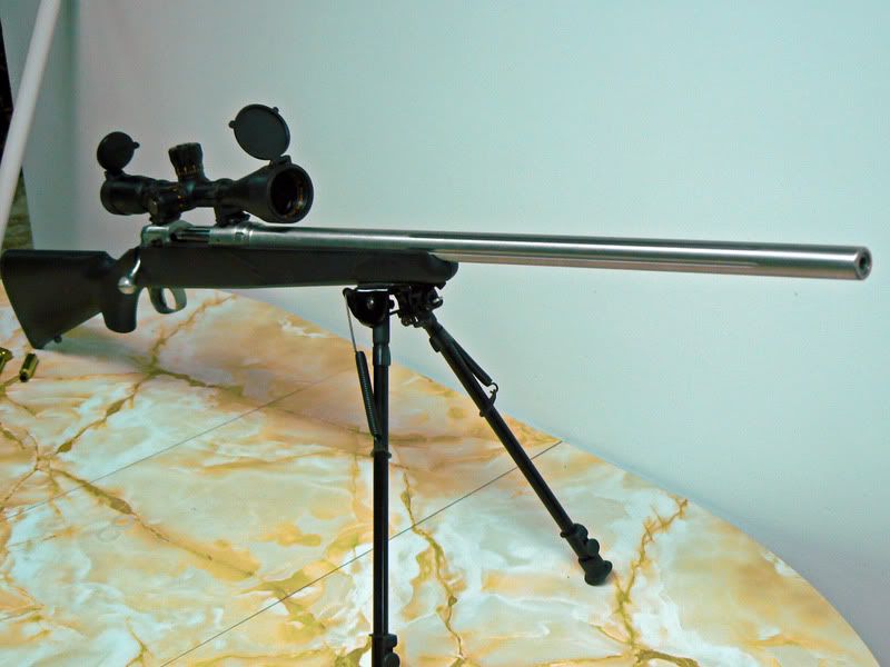 300wsm008.jpg
