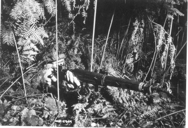 mDL8KkP.jpg