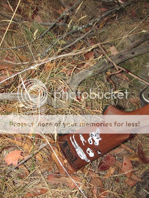 IMG_0436_whelenbloodtrail.jpg~original