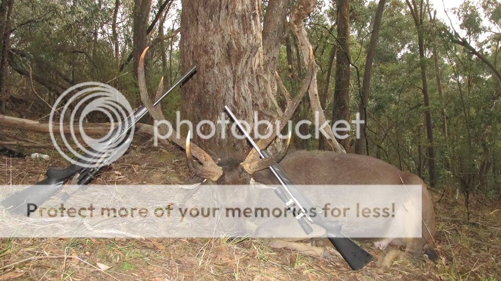 IMG_5403BigBores.jpg~original