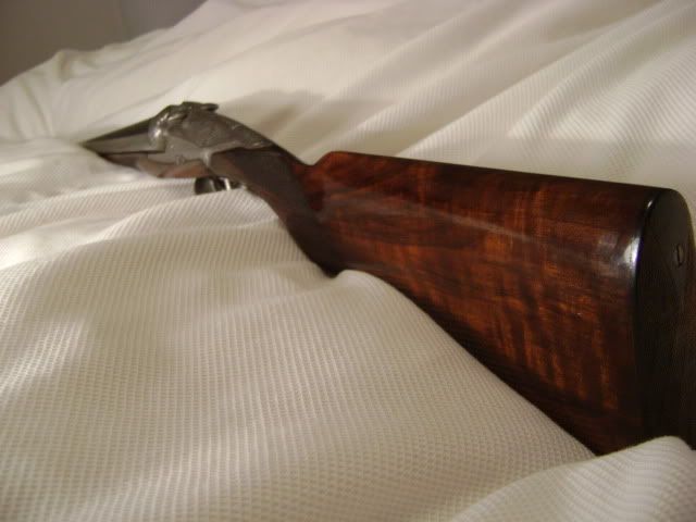 DSC01273.jpg