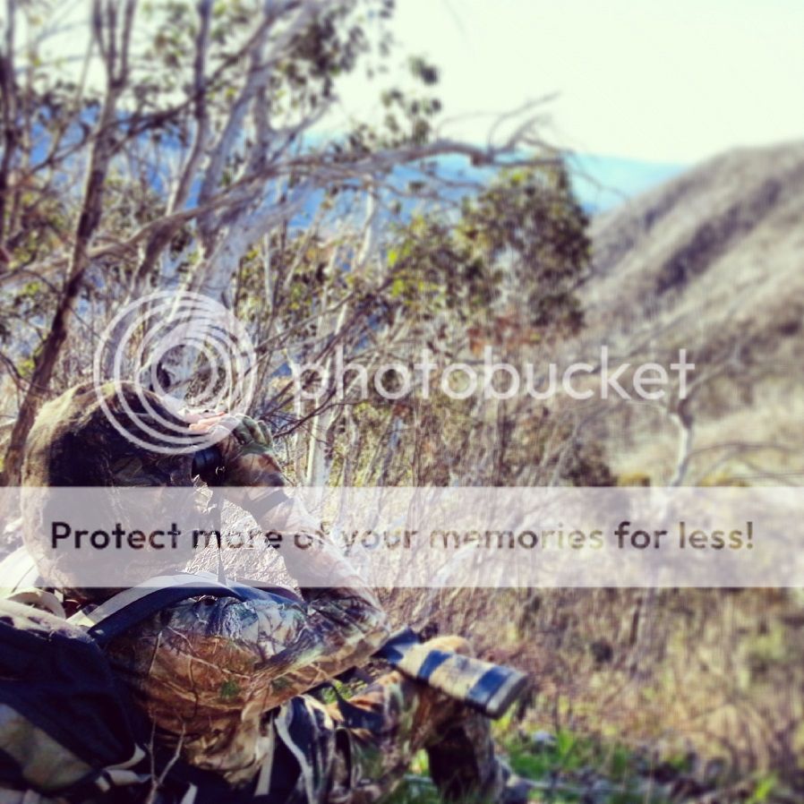 IMG_20131Glassingresize.jpg~original